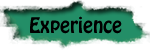 exper